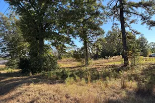 3058 Surrey Race Rd, Springfield, SC 29146 - Photo 1