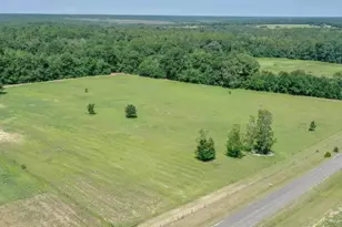00 Poinsettia Rd, Wagener, SC 29164 - Photo 1