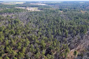 1424 Hatchaway Bridge Rd, Aiken, SC 29801 - Photo 1