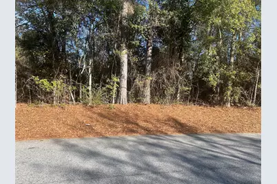 0 Fairway Drive, New Ellenton, SC 29809 - Photo 1