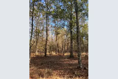 000 Trecer Road, Cope, SC 29038 - Photo 1