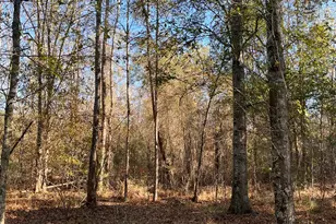 000 Trecer Rd, Cope, SC 29038 - Photo 1