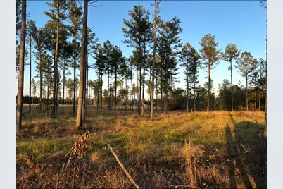 00/Lot 49 Snipes Pond Road, Aiken, SC 29805 - Photo 1