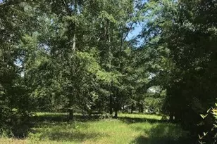 Tbd Sappling Rd, Barnwell, SC 29812 - Photo 1