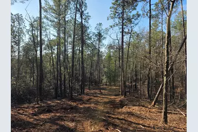 15A Atomic Lane, Beech Island, SC 29842 - Photo 1