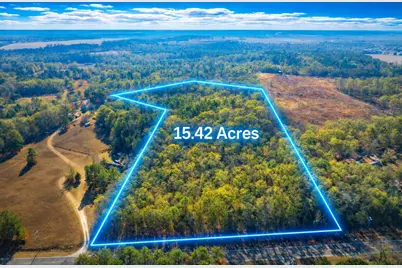 00 Camp Rawls Road, Wagener, SC 29164 - Photo 1