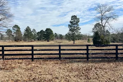 1166 Bethcar Church Road, Wagener, SC 29164 - Photo 1