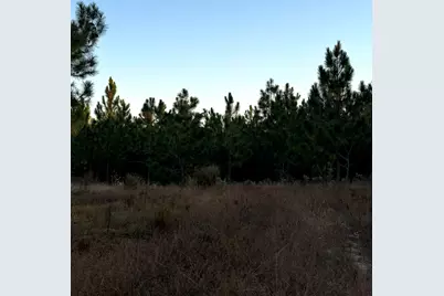 Lot 24 Snipes Pond, Aiken, SC 29805 - Photo 1