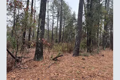 000 Gray Street, Edgefield, SC 29824 - Photo 1