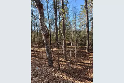 000 Chime Bell Church Road, Aiken, SC 29803 - Photo 1