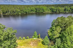 387 Wexford Mill Dr, Wagener, SC 29164 - Photo 1
