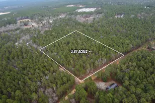 Lot 16 Windsong Ln, Pelion, SC 29123 - Photo 1