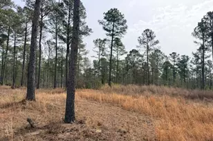 000 New Holland Rd, Aiken, SC 29805 - Photo 1