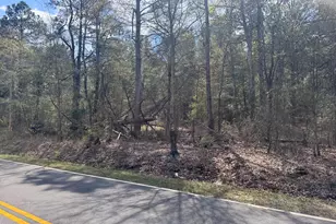 0 Gray Mare Hollow Rd, Aiken, SC 29803 - Photo 1