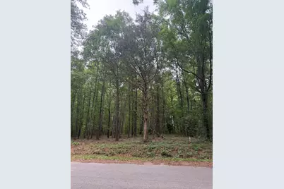 Tbd Pine Valley Drive, Edgefield, SC 29824 - Photo 1