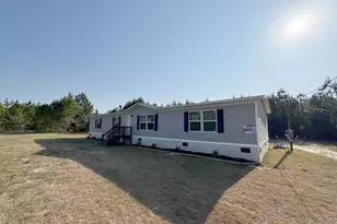 247 S Dixie Rd, Wagener, SC 29164 - Photo 1
