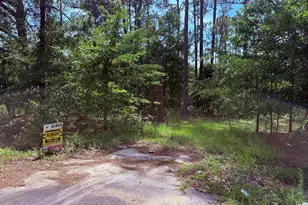 5827 Reynolds Rd, Blackville, SC 29817 - Photo 1