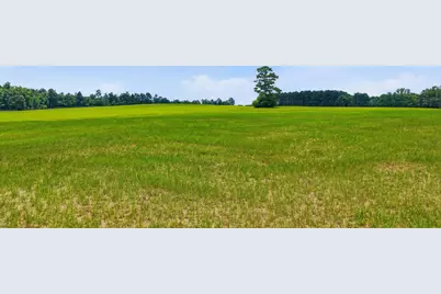 00 Bodie Road, Wagener, SC 29164 - Photo 1