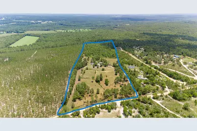 798 Big Branch Road, Wagener, SC 29164 - Photo 1