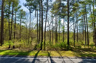 Tbd Banks Mill Road SE, Aiken, SC 29803 - Photo 1