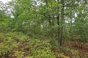 Lot 9 10 Cleora Murray Dr, Aiken, SC 29801 - Photo 1