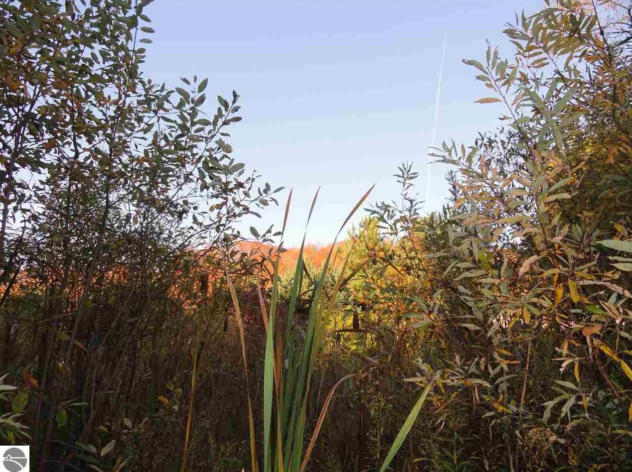 4851 Kodiak Dr, Traverse City MI 49685-8551 exterior