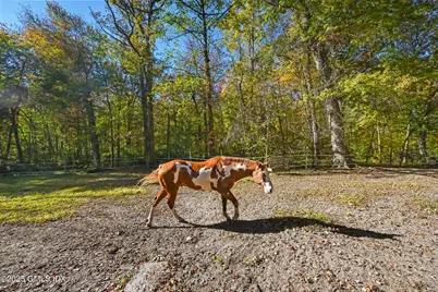38 Bedford Road, Greenwich, CT 06831 - Photo 29