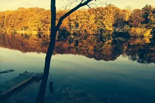 213 River Road Ext, Greenwich, CT 06807 - Photo 3