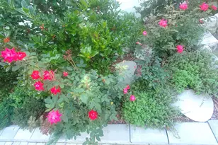 92 Valley Rd, Greenwich, CT 06807 - Photo 43