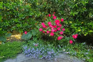 92 Valley Rd, Greenwich, CT 06807 - Photo 45