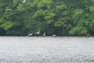 92 Valley Rd, Greenwich, CT 06807 - Photo 51