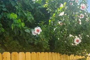 92 Valley Rd, Greenwich, CT 06807 - Photo 41