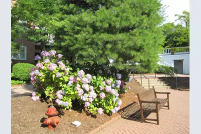 51 Forest Avenue #153, Old Greenwich, CT 06870 - Photo 19