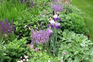 1007 King St, Greenwich, CT 06831 - Photo 67