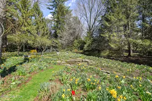 135 & 129 Zaccheus Mead Ln, Greenwich, CT 06831 - Photo 59