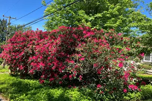 51 Old Kings Hwy, Old Greenwich, CT 06870 - Photo 37