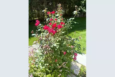 24 Buena Vista Drive, Greenwich, CT 06831 - Photo 39