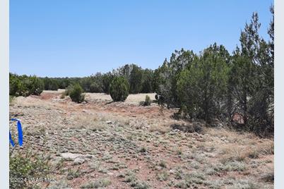 56673 N La Carro Lane, Seligman, AZ 86337 - Photo 9