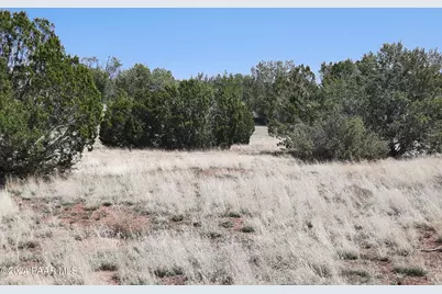 56673 N La Carro Lane, Seligman, AZ 86337 - Photo 1