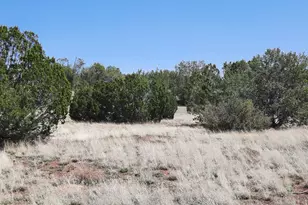 56673 N La Carro Ln, Seligman, AZ 86337 - Photo 1