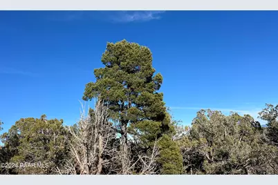 Ne 49 Norma Way, Ash Fork, AZ 86320 - Photo 3
