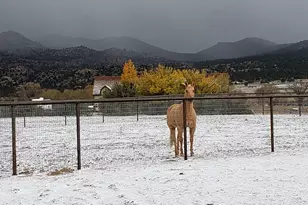 5067 W Buffalo Rdg Rd, Prescott, AZ 86305 - Photo 49