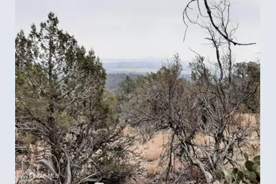 Lot 1401 N Lightning Ridge Rd, Seligman, AZ 86337 - Photo 11