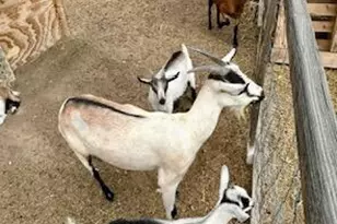 2940 W Willow Breeze Rd, Chino Valley, AZ 86323 - Photo 15