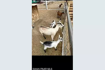 2940 W Willow Breeze Road, Chino Valley, AZ 86323 - Photo 15