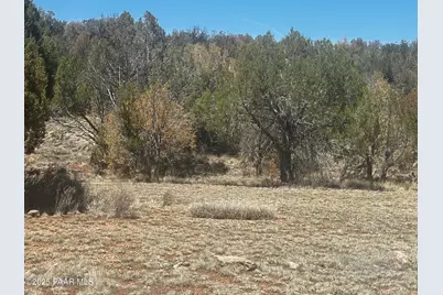 32372 Ancho Road, Seligman, AZ 86337 - Photo 13