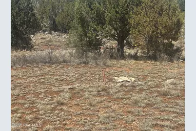 32372 Ancho Road, Seligman, AZ 86337 - Photo 9