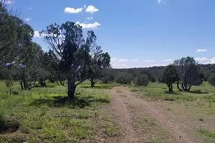 1550 W Joseph Dr, Ash Fork, AZ 86320 - Photo 1