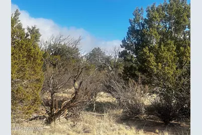 32292 W Ancho Road, Seligman, AZ 86337 - Photo 7