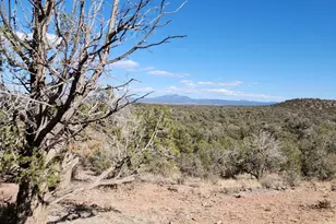 Lot 50 Scorpion, Ash Fork, AZ 86320 - Photo 1